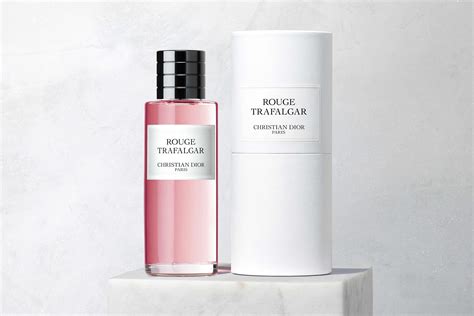 dior trafalgar homme|DIOR.